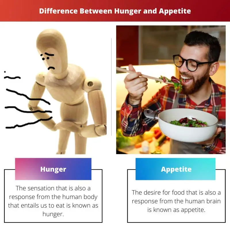 Unterschied zwischen Hunger und Appetit