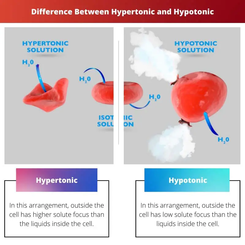 हाइपरटोनिक और हाइपोटोनिक के बीच अंतर