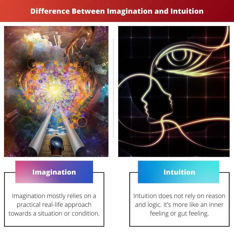 想象力与直觉之间的区别