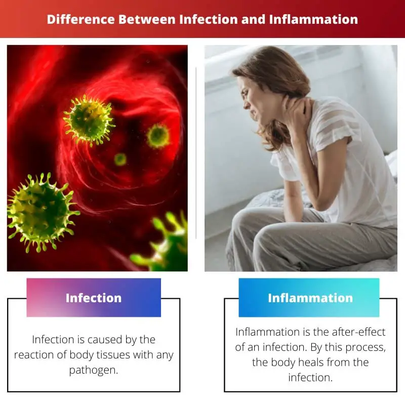 Difference Between Infection and Inflammation
