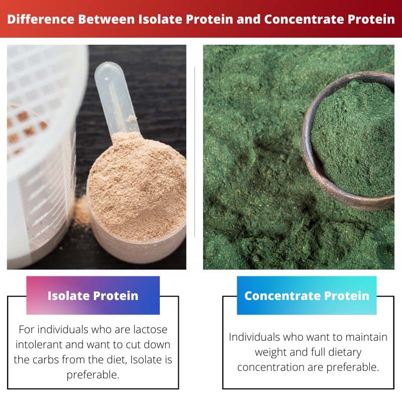 Difference Between Isolate Protein and Concentrate Protein