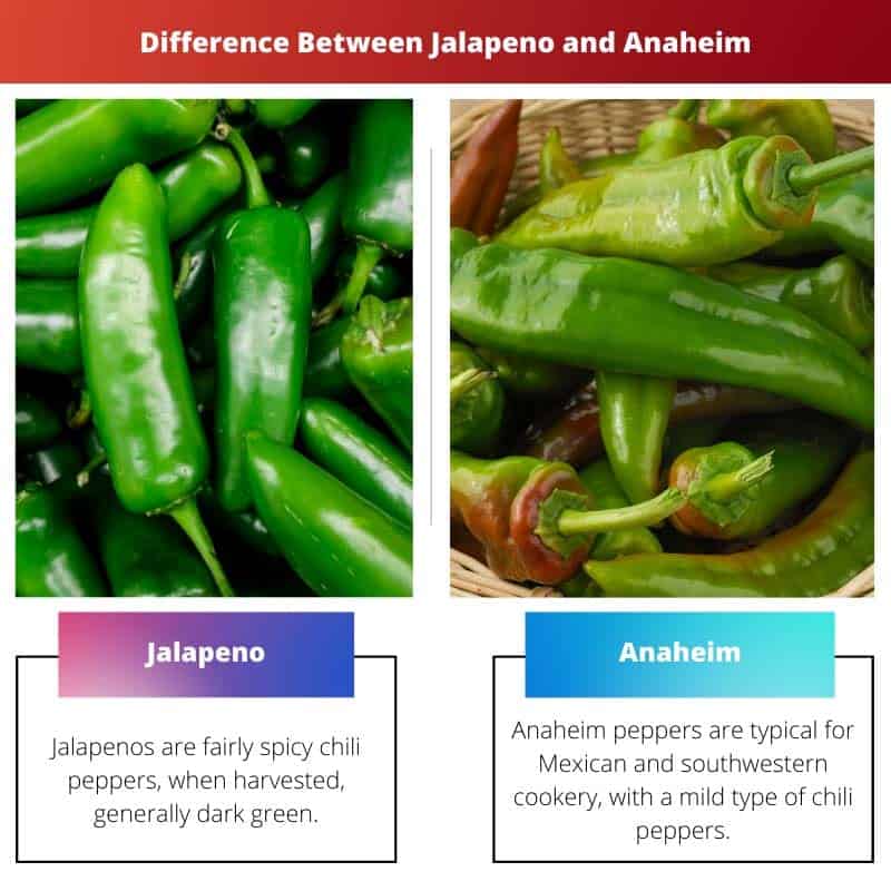 墨西哥胡椒和阿纳海姆之间的区别