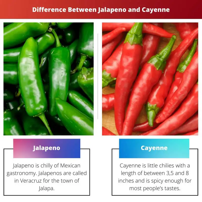 Rozdíl mezi Jalapeno a Cayenne