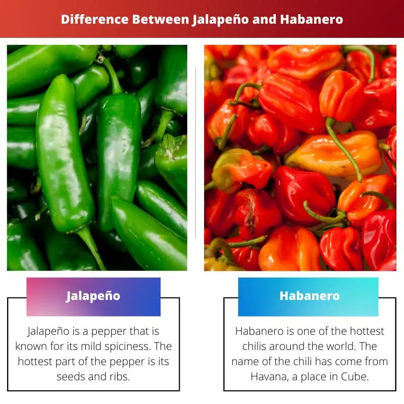 Difference Between Jalapeno and Habanero