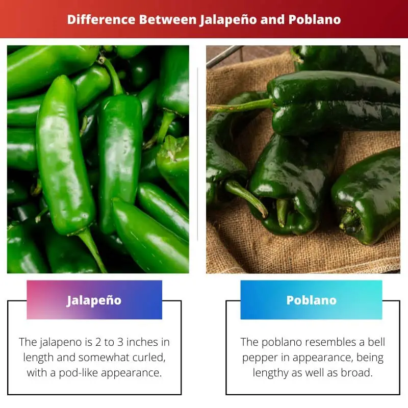 Difference Between Jalapeno and Poblano