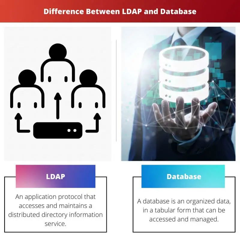الفرق بين LDAP وقاعدة البيانات