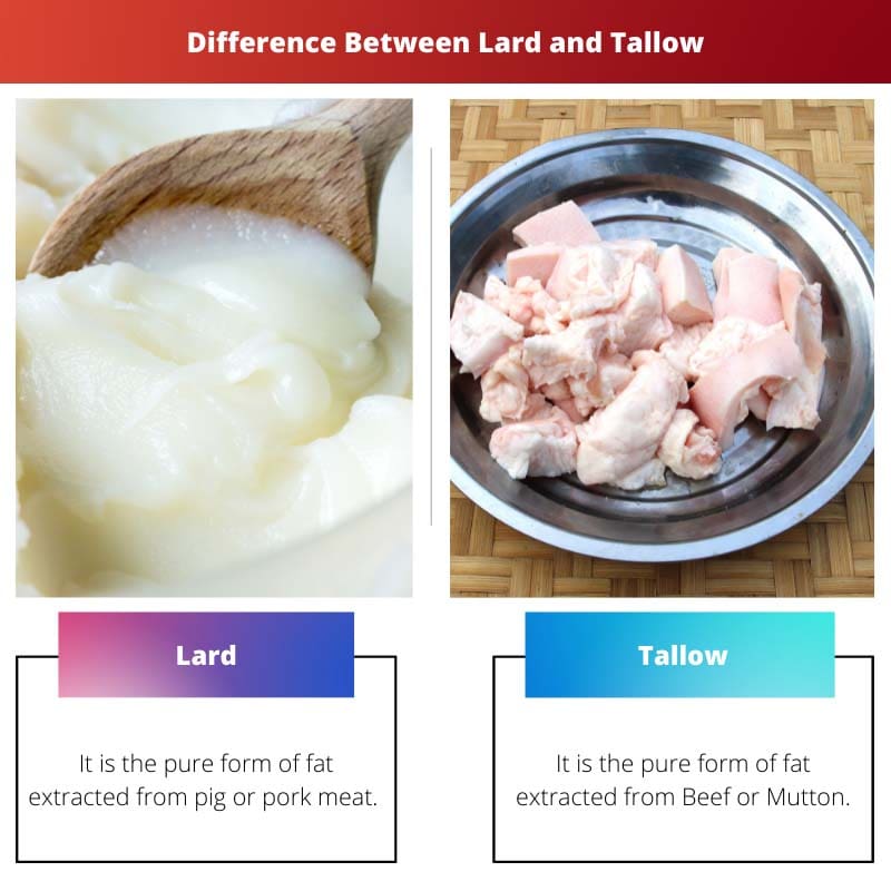 Razlika između svinjske masti i loja