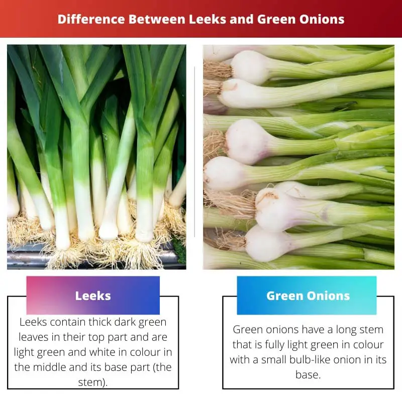 Diferencia entre puerros y cebollas verdes