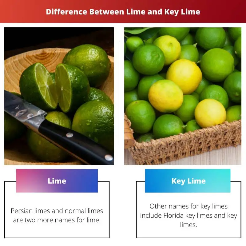 Diferença entre Lime e Key Lime