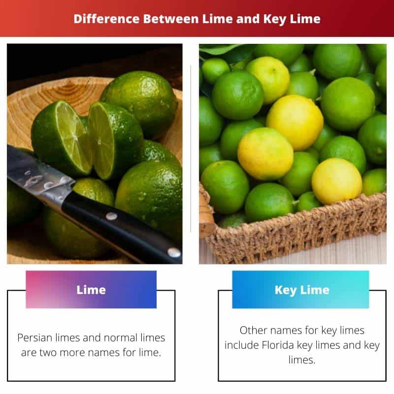 Difference Between Lime and Key Lime