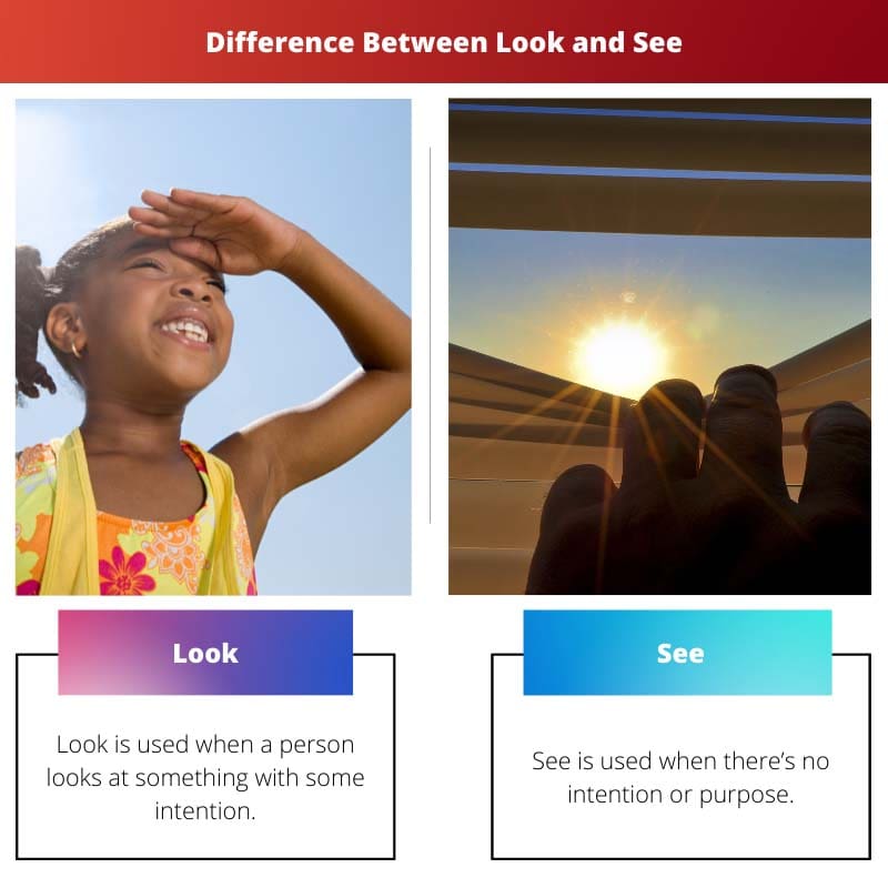 Difference Between Look and See