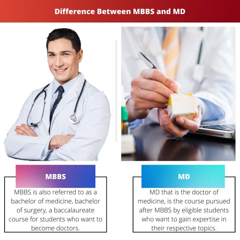 difference between mbbs doctor and phd doctor