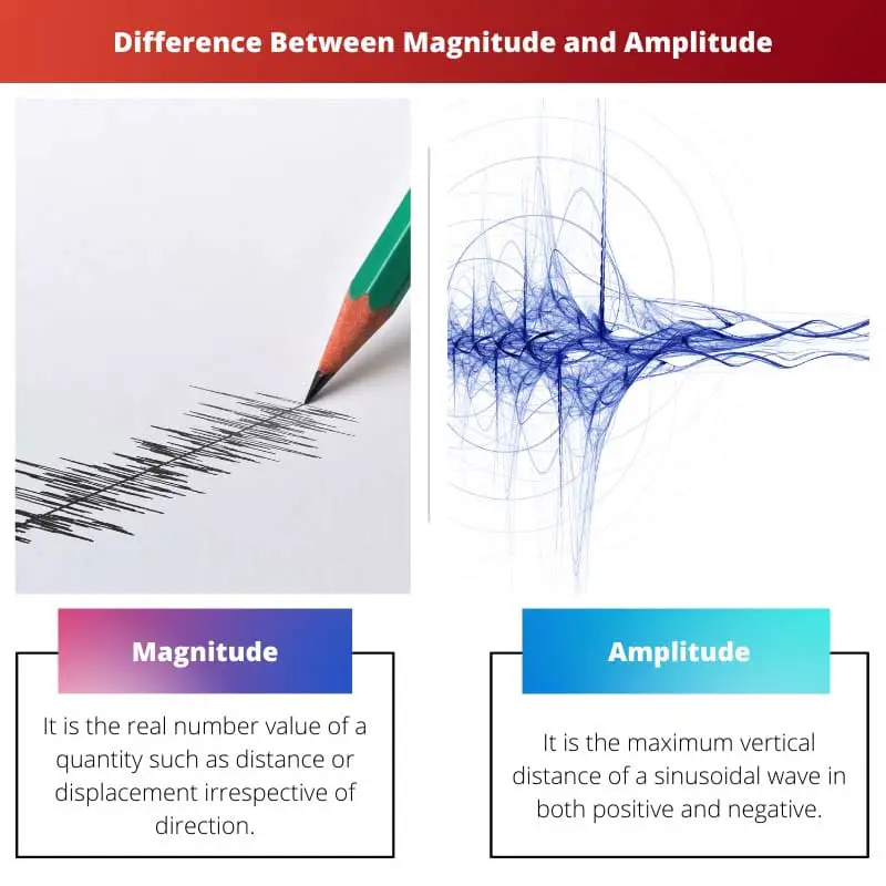 Difference Between Magnitude and Amplitude