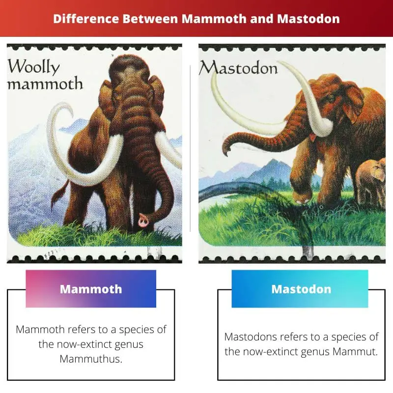 Difference Between Mammoth and Mastodon