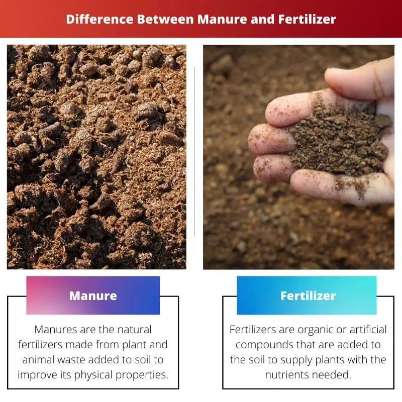 粪肥和肥料的区别