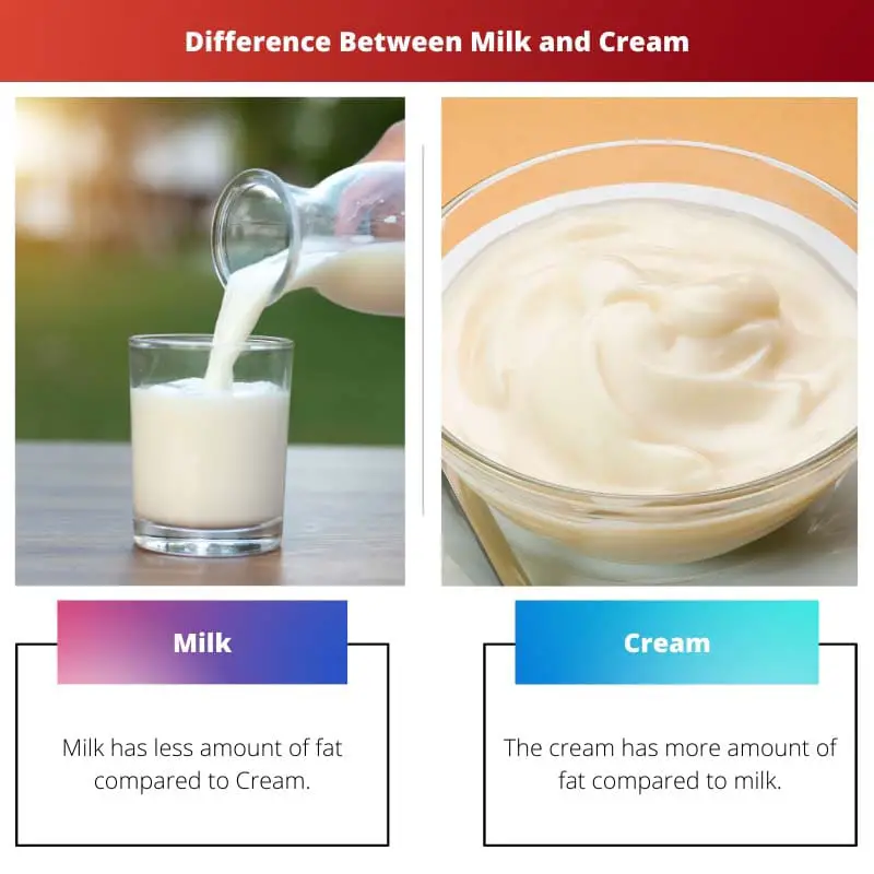 Difference Between Milk and Cream