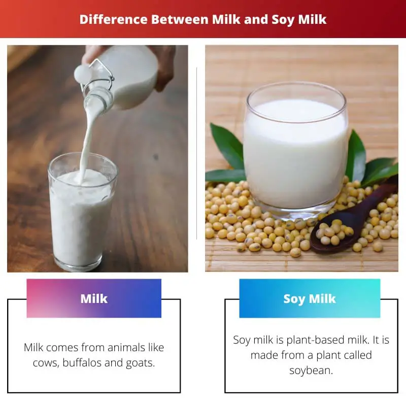 Difference Between Milk and Soy Milk