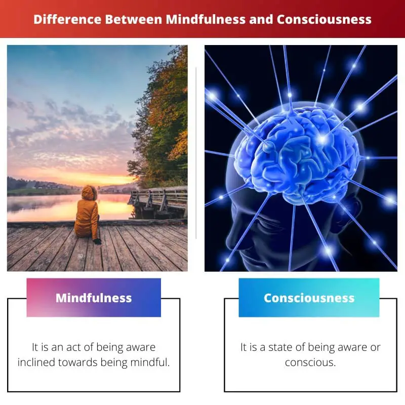 Différence entre la pleine conscience et la conscience