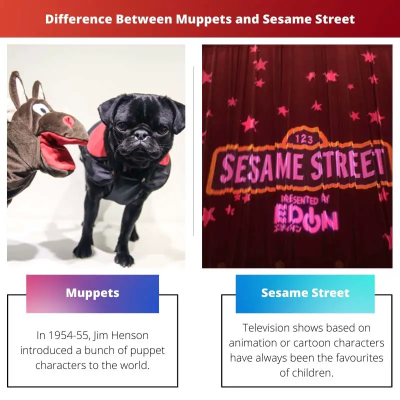 Differenza tra i Muppet e Sesame Street