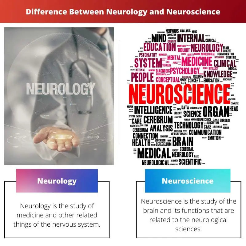Diferença entre Neurologia e Neurociência