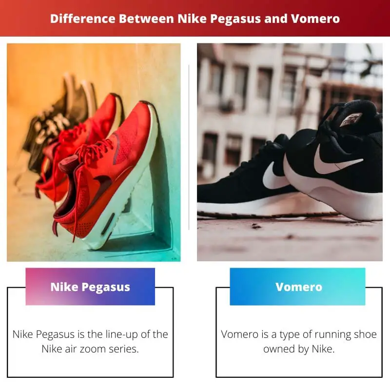 Verschil tussen Nike Pegasus en Vomero