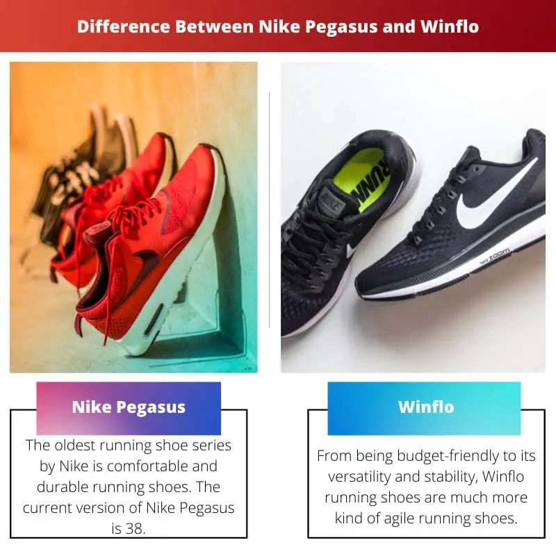 Difference Between Nike Pegasus and Winflo