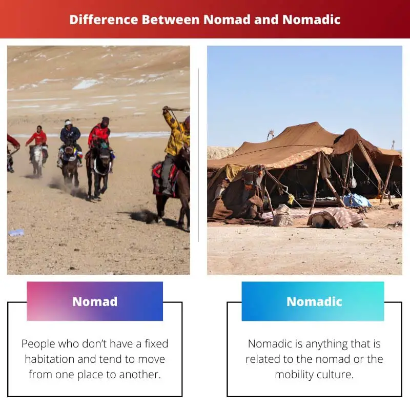 Diferencia entre nómada y nómada