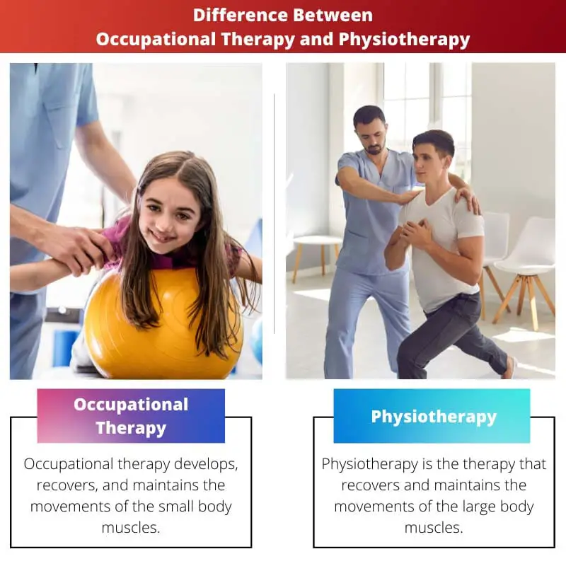 Différence entre l'ergothérapie et la physiothérapie