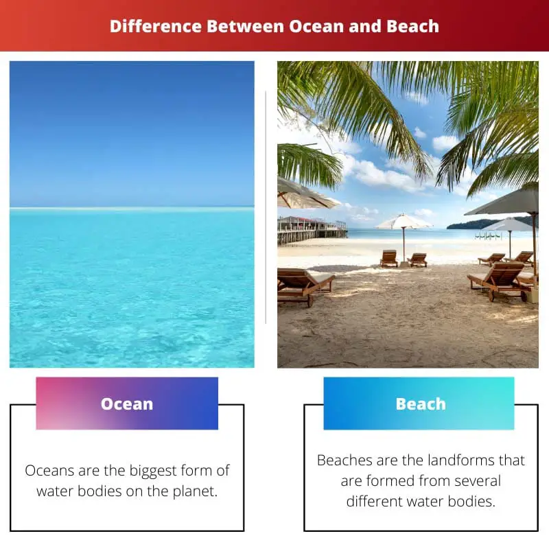 Diferencia entre el océano y la playa