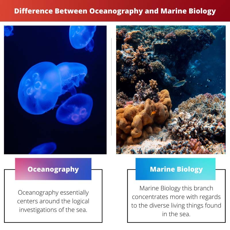 Difference Between Oceanography and Marine Biology