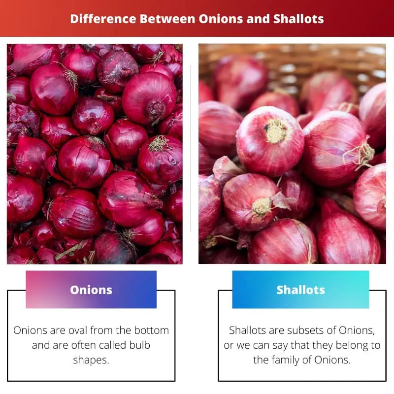 Difference Between Onions and Shallots