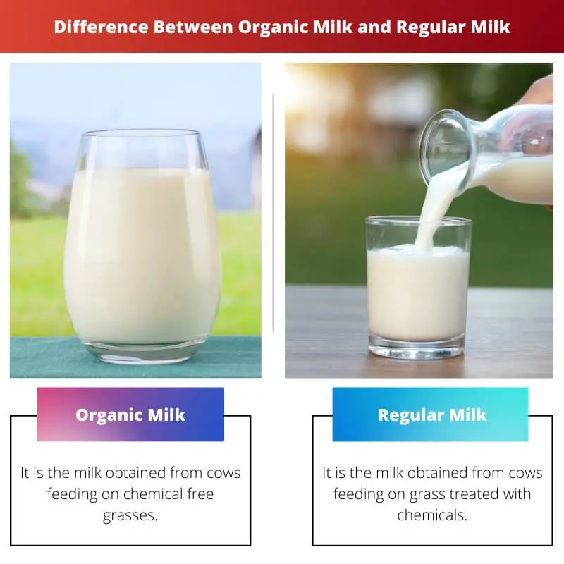 Difference Between Organic Milk and Regular Milk