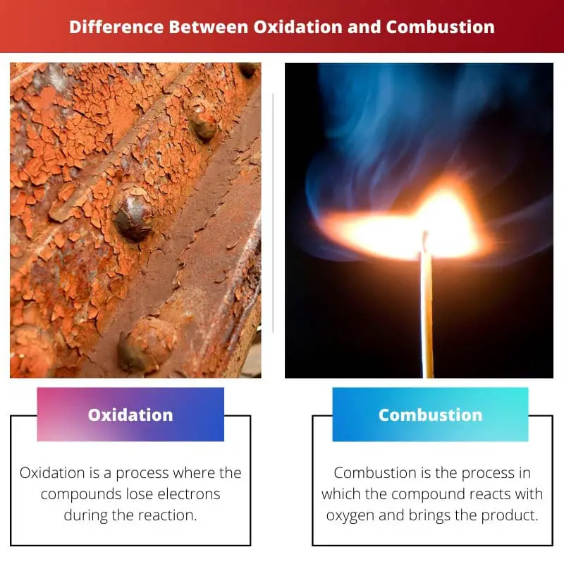 Sự khác biệt giữa quá trình oxy hóa và đốt cháy