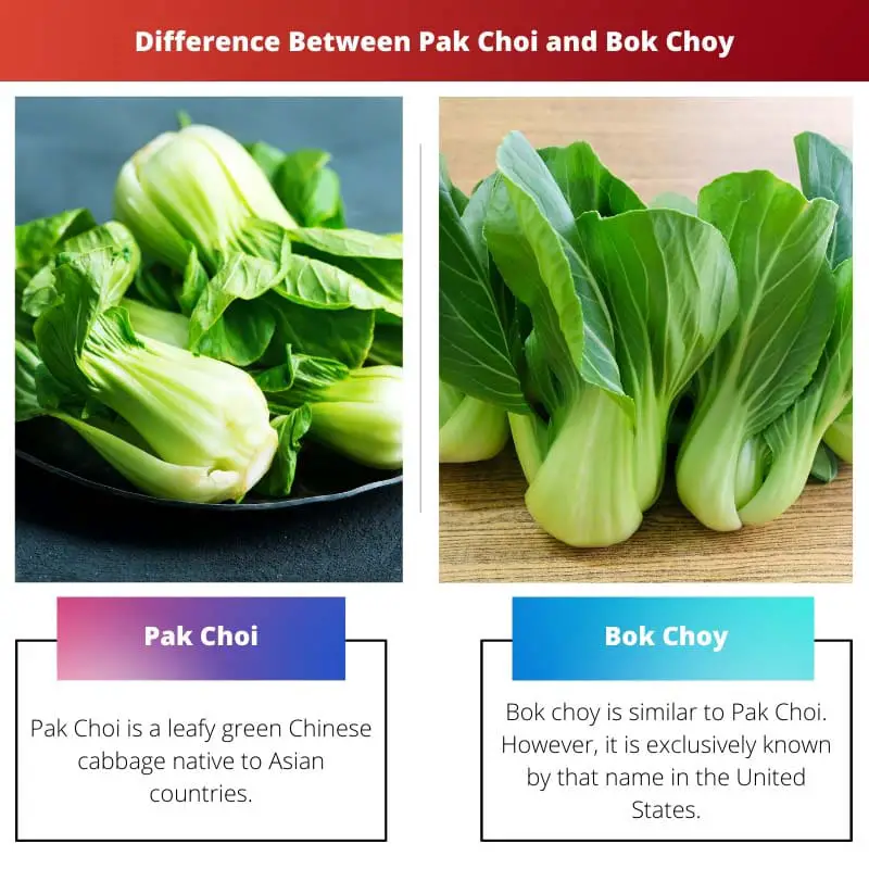 Difference Between Pak Choi and Bok Choy