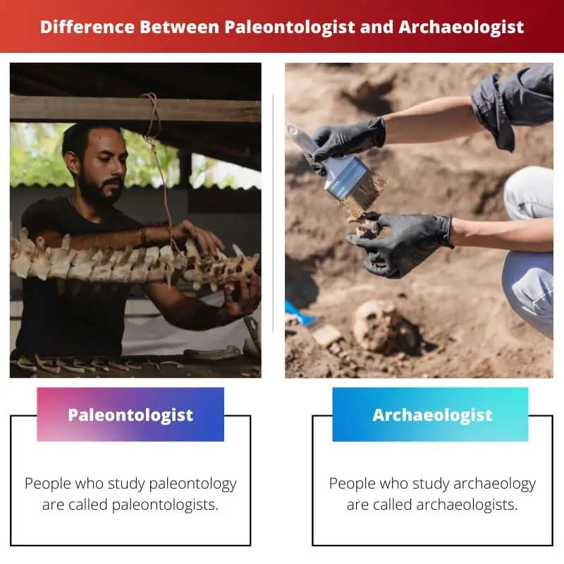 Difference Between Paleontologist and Archaeologist