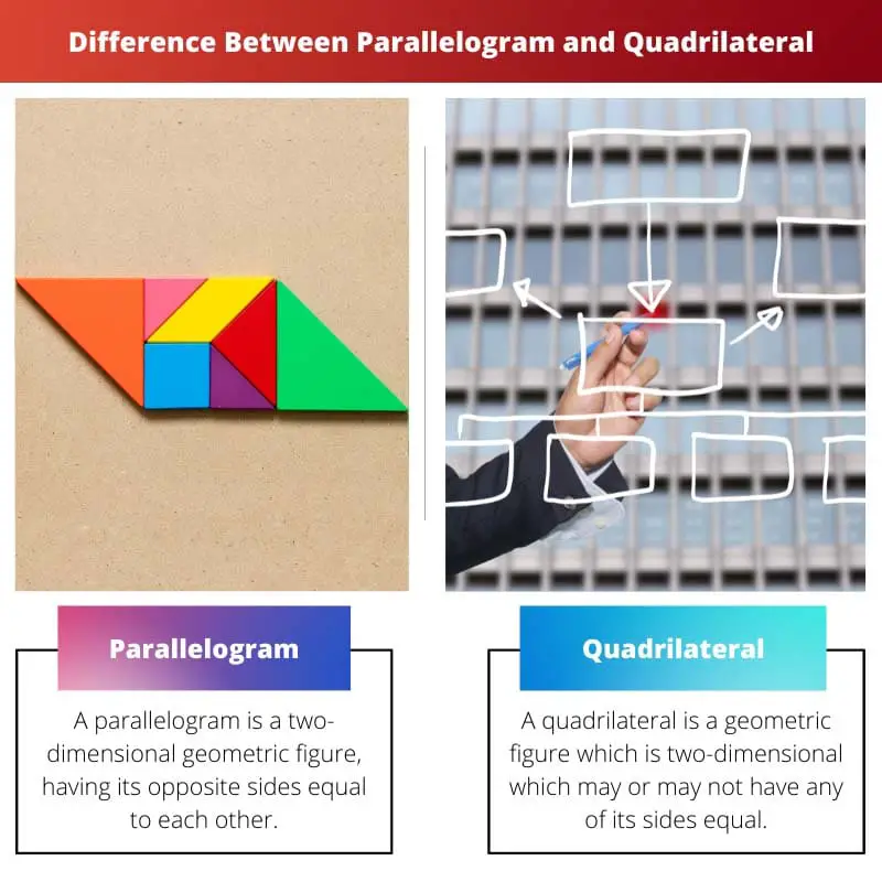 Difference Between Parallelogram and Quadrilateral