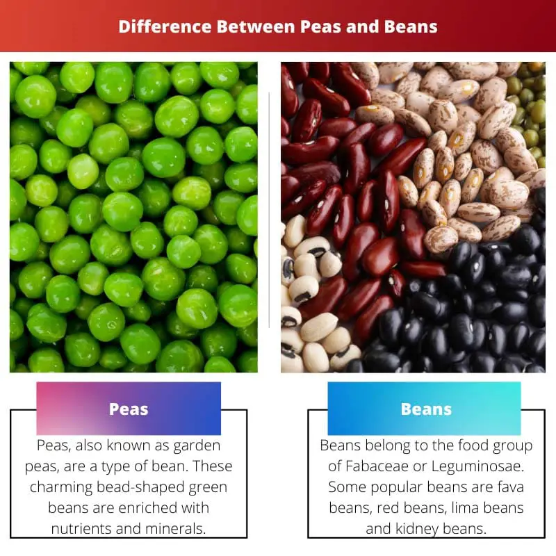 Difference Between Peas and Beans