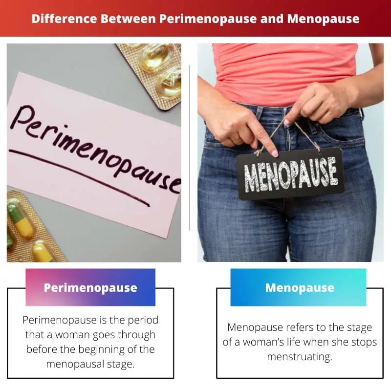 Difference Between Perimenopause and Menopause