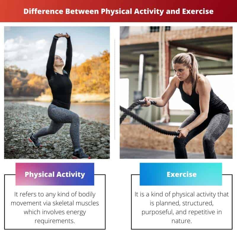 Différence entre l'activité physique et