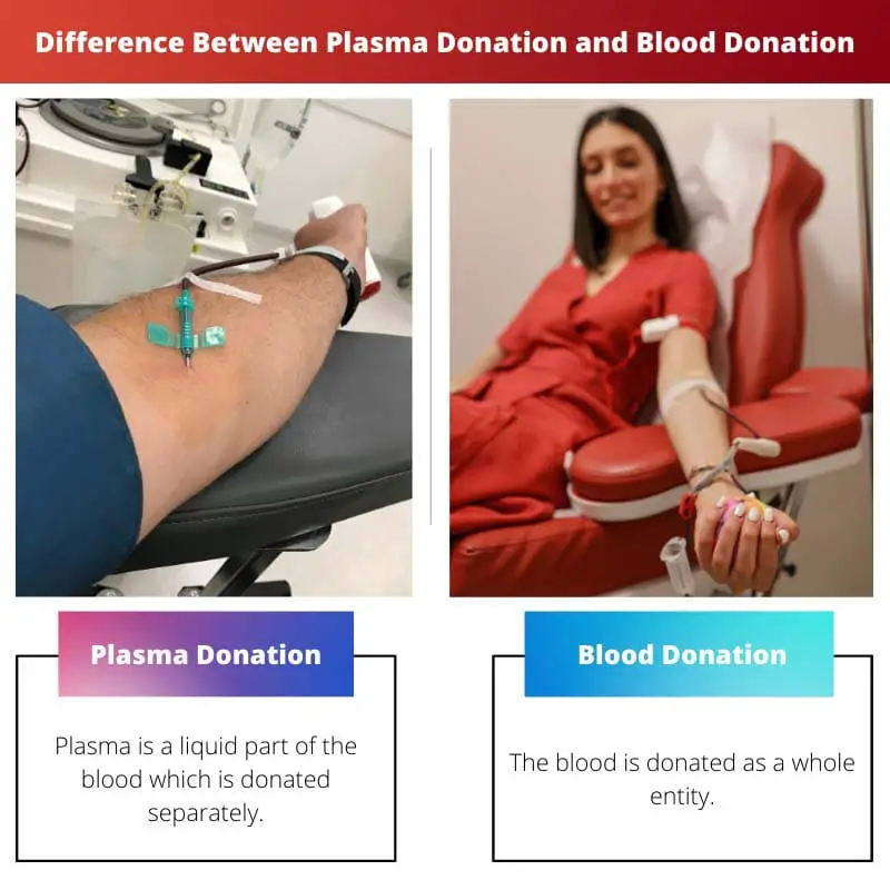 Difference Between Plasma Donation and Blood Donation