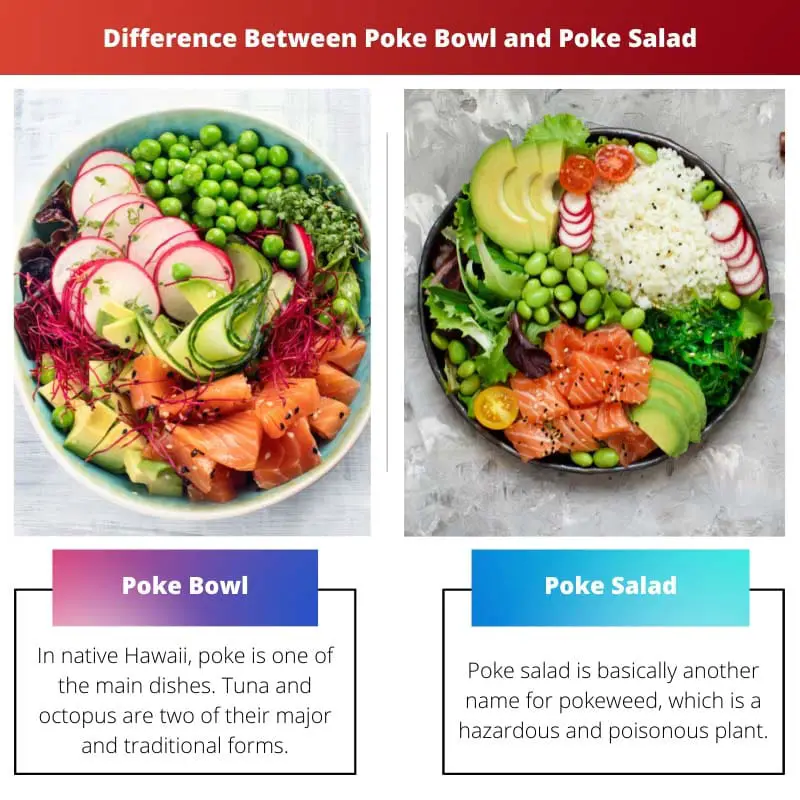 Difference Between Poke Bowl and Poke Salad