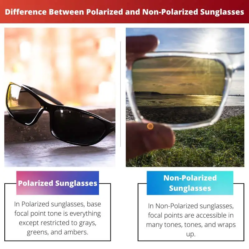 Différence entre les lunettes de soleil polarisées et non polarisées
