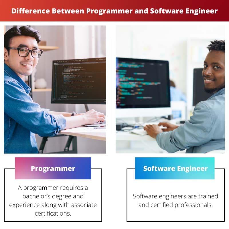Difference Between Programmer and Software Engineer