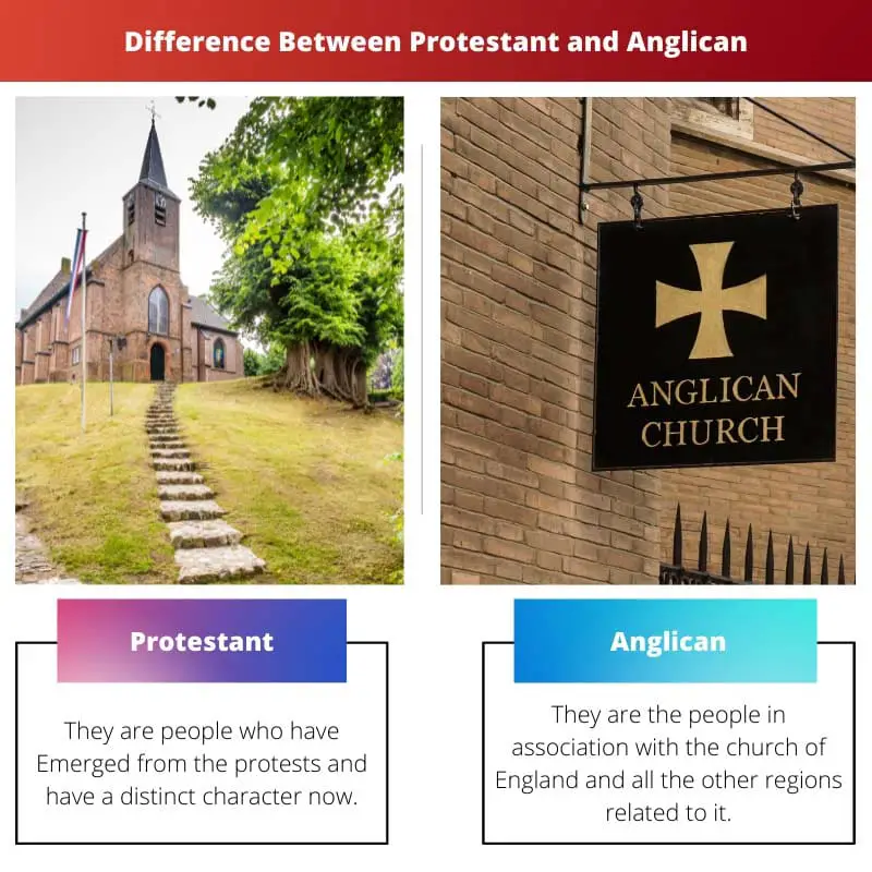 Difference Between Protestant and Anglican