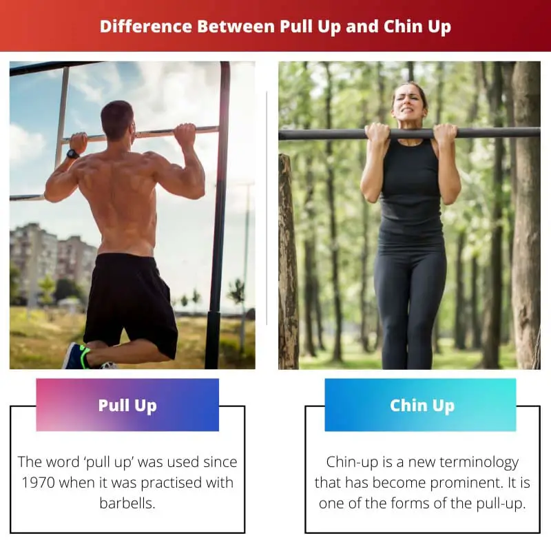 Difference Between Pull Up and Chin Up