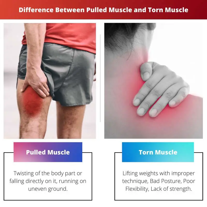 肌肉拉伤和肌肉撕裂之间的区别