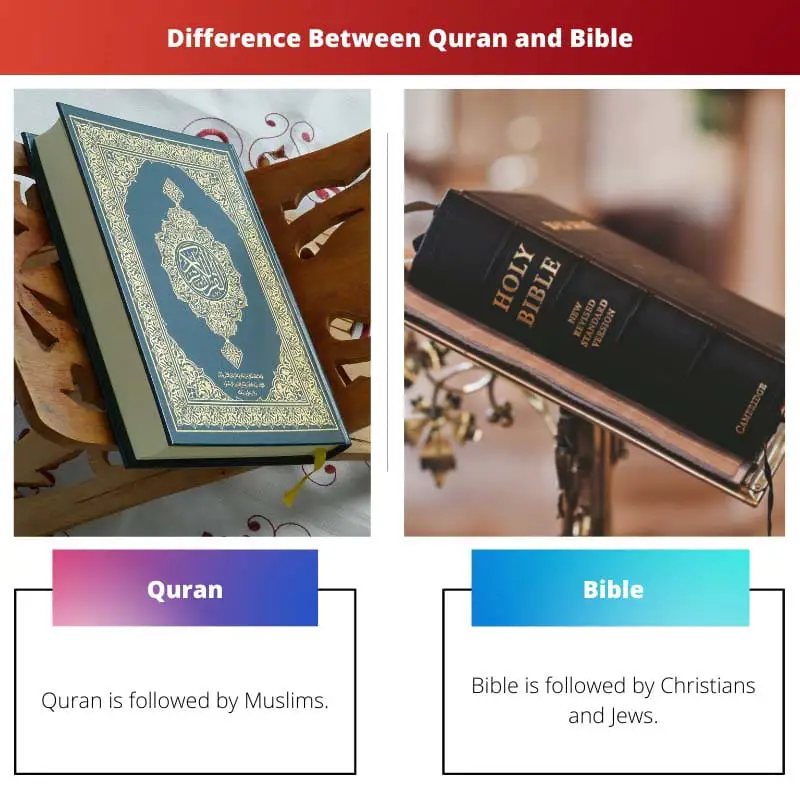 Difference Between Quran and Bible