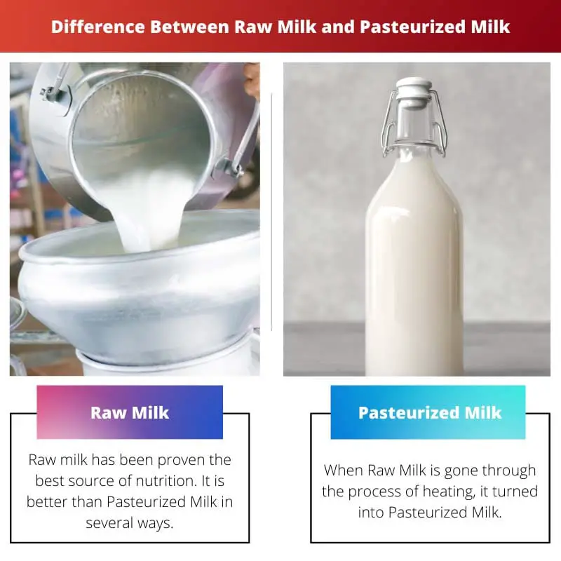 Difference Between Raw Milk and Pasteurized Milk