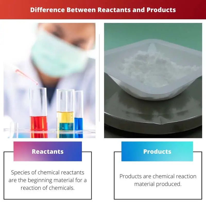 Difference Between Reactants and Products