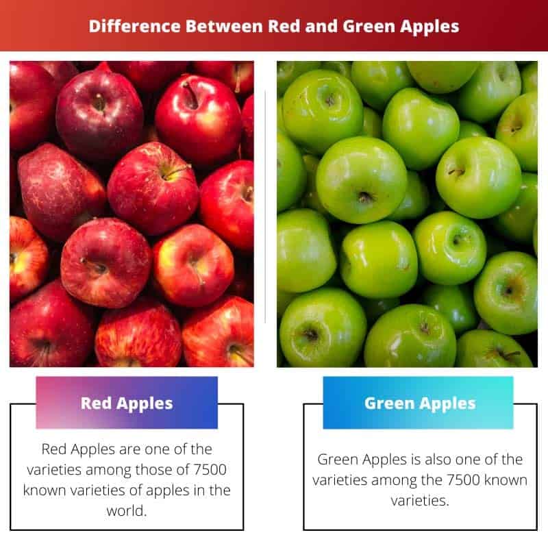 Beyond the Trivia-Red Apples Vs. Green